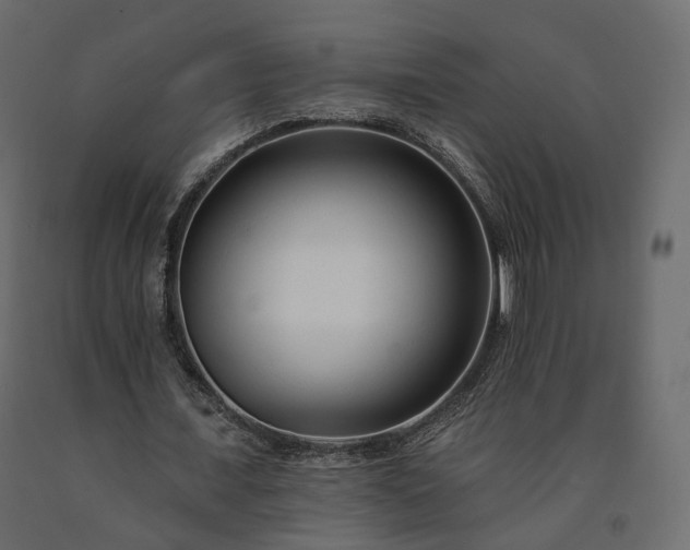 X0000091560675200708241816