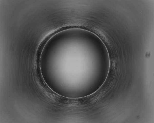 X0000091560676200708241816