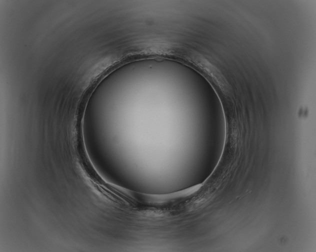 X0000091560677200708241816