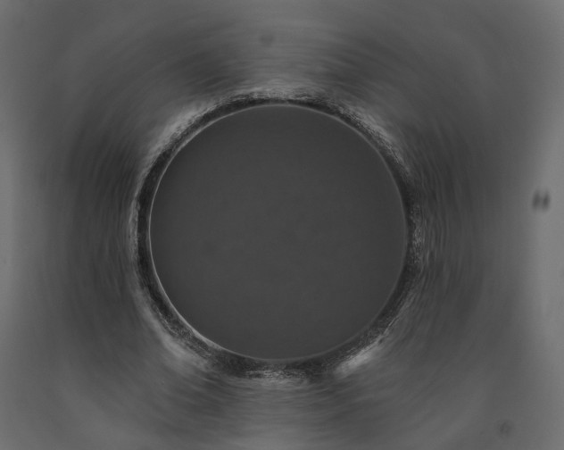 X0000091560678200708241816