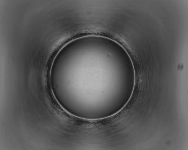 X0000091560679200708241816