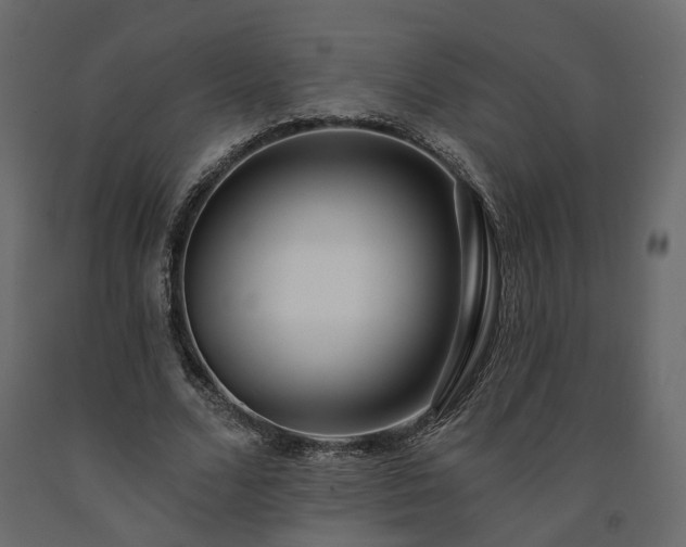 X0000091560680200708241816