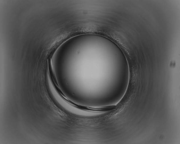 X0000091560681200708241816