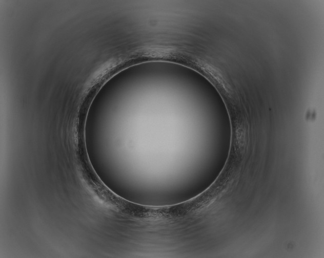 X0000091560682200708241816