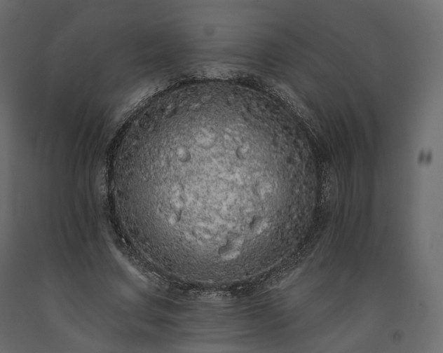 X0000091560683200708241816