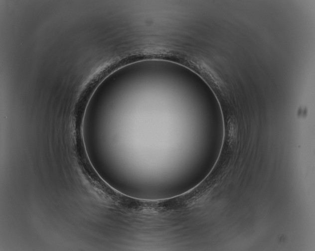 X0000091560684200708241816