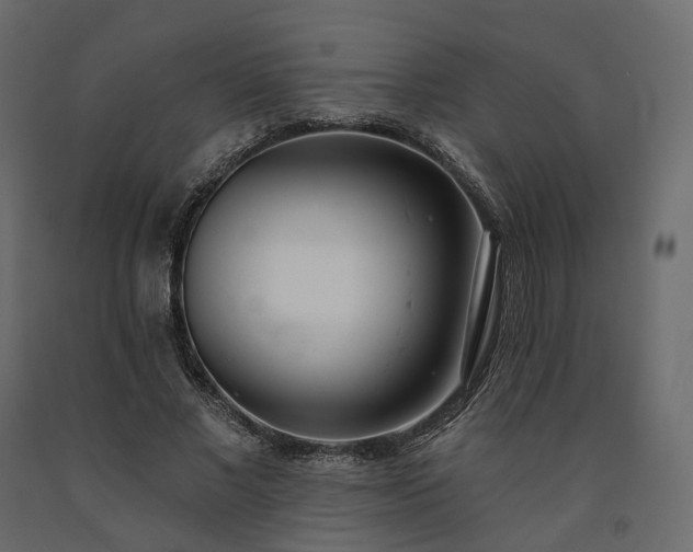 X0000091560685200708241816