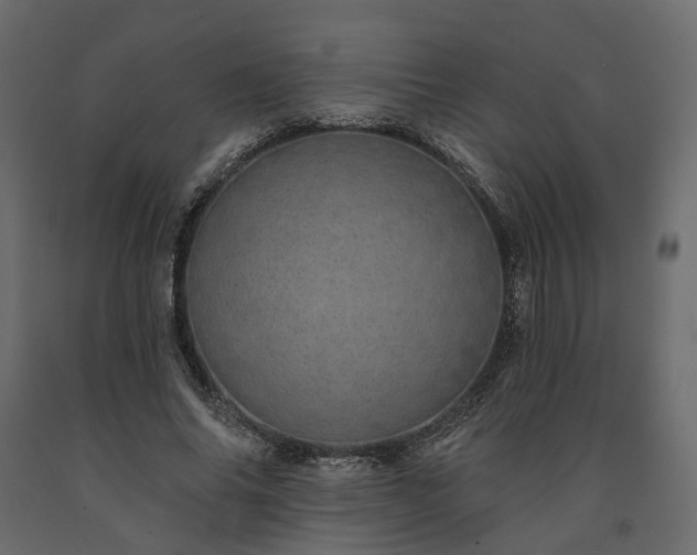 X0000091560686200708241816