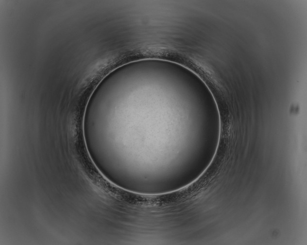 X0000091560687200708241816