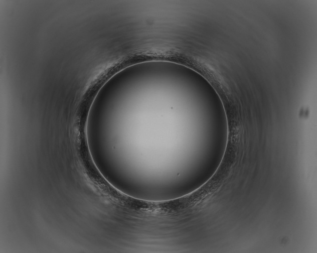 X0000091560688200708241816