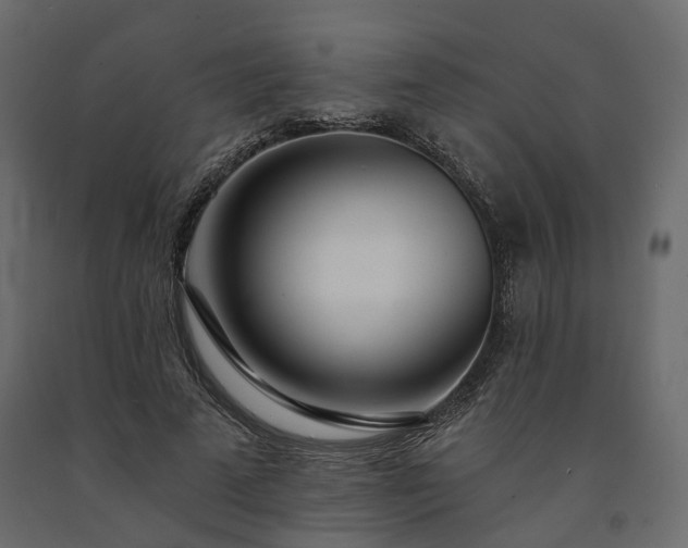 X0000091560689200708241816