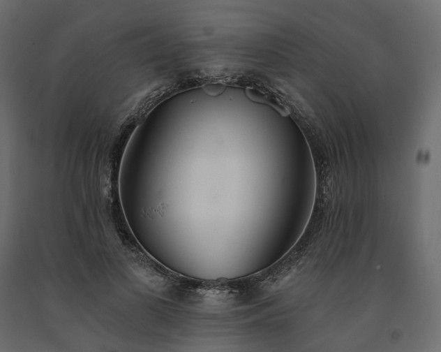 X0000091560693200708241816