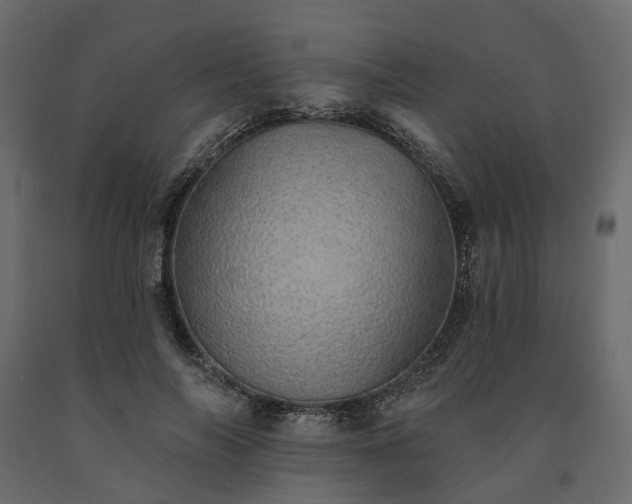 X0000091560694200708241816