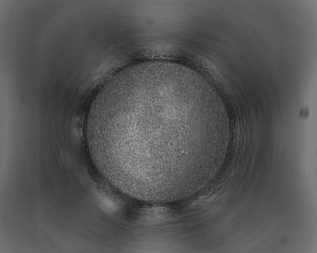 X0000091560695200708241816