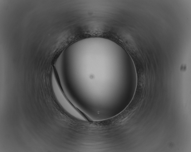 X0000091560697200708241816