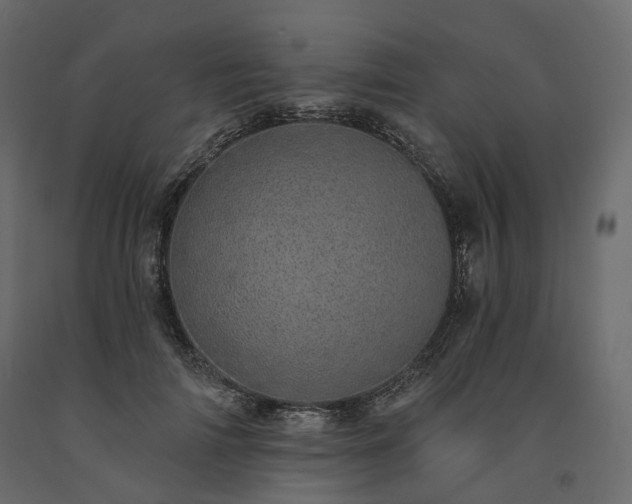 X0000091560698200708241816