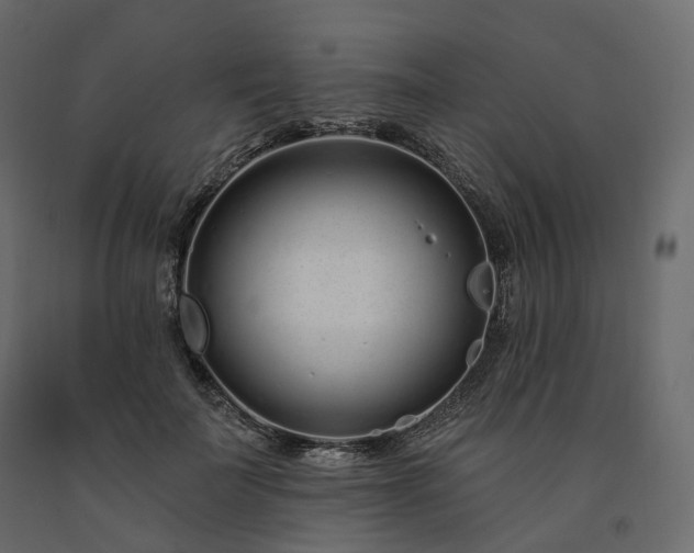 X0000091560699200708241816