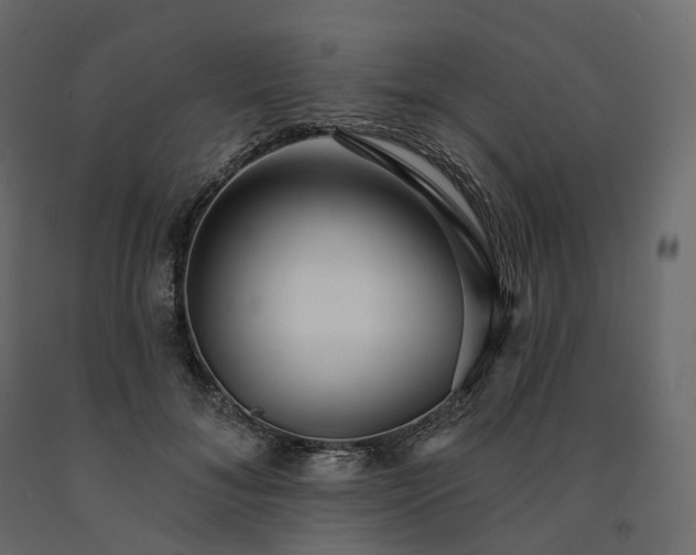 X0000091560700200708241816