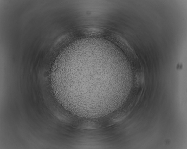 X0000091560701200708241816