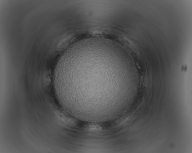 X0000091560702200708241816