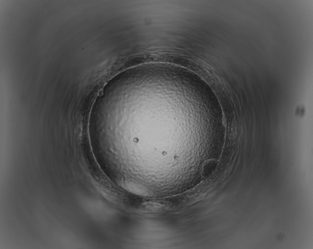 X0000091560703200708241816