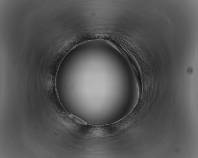 X0000091560704200708241816