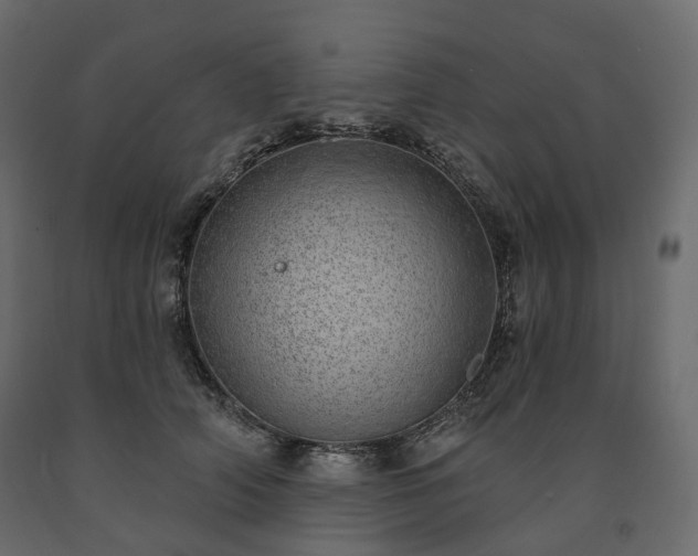 X0000091560706200708241816