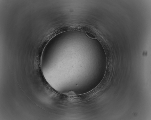 X0000091560707200708241816