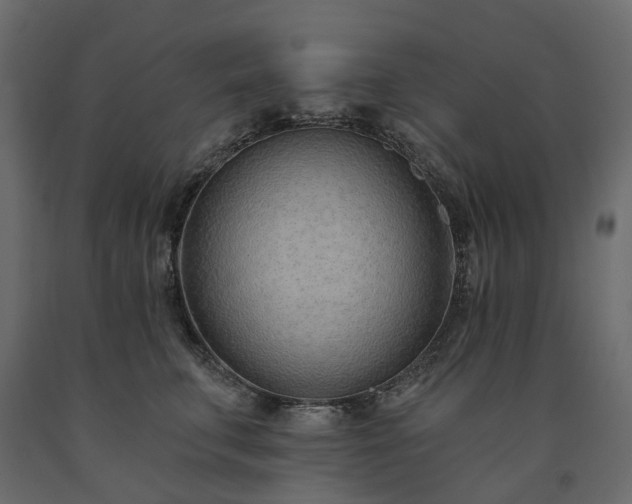 X0000091560711200708241816