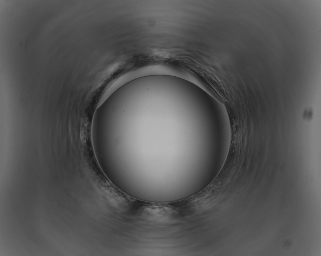 X0000091560712200708241816