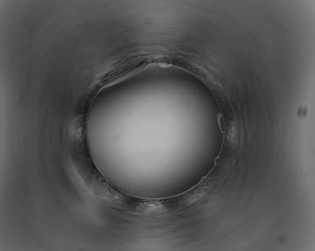 X0000091560715200708241816