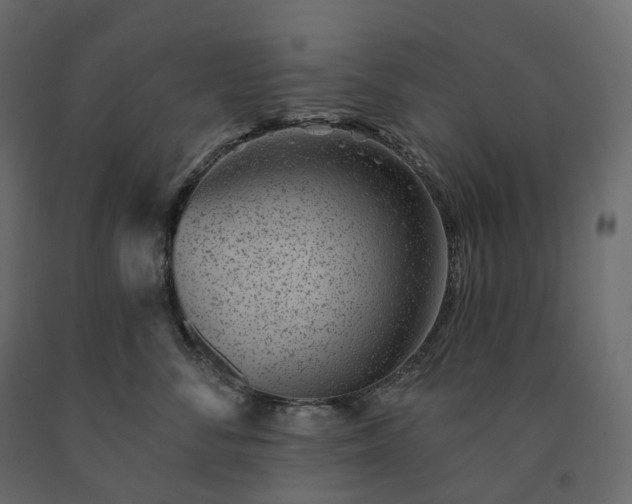 X0000091560716200708241816