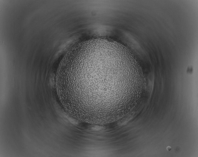 X0000091560718200708241816