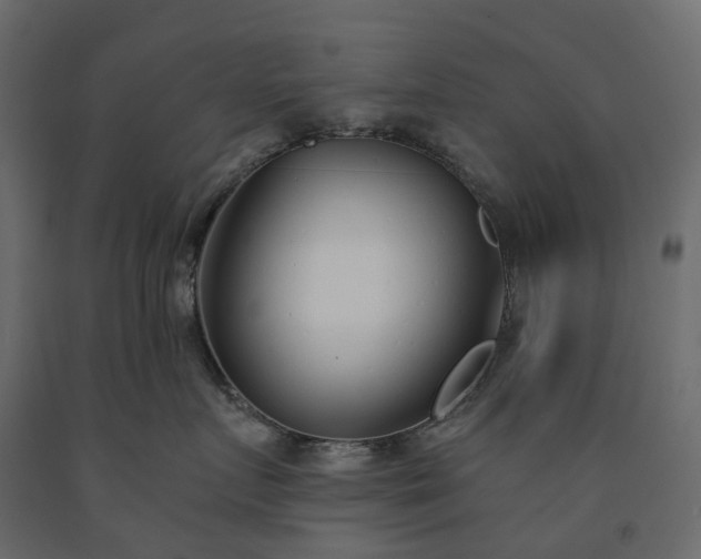 X0000091560719200708241816