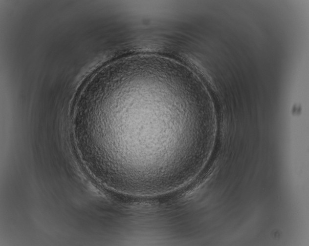 X0000091560721200708241815