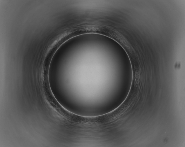 X0000091560722200708241815