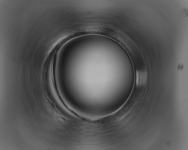 X0000091560723200708241815