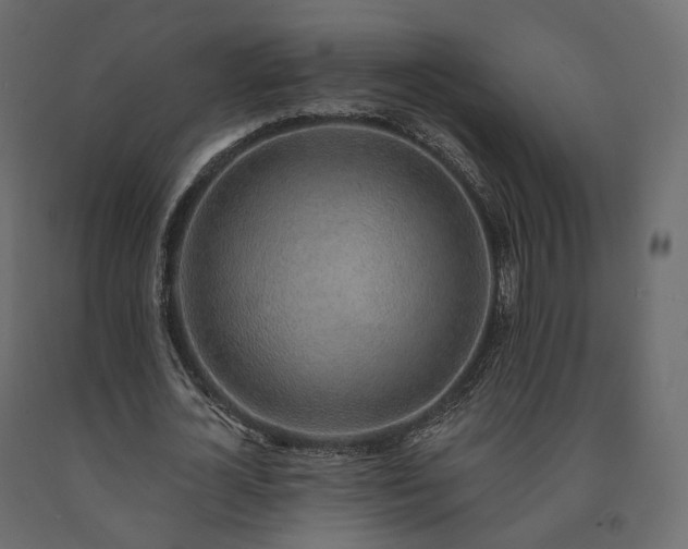 X0000091560724200708241815