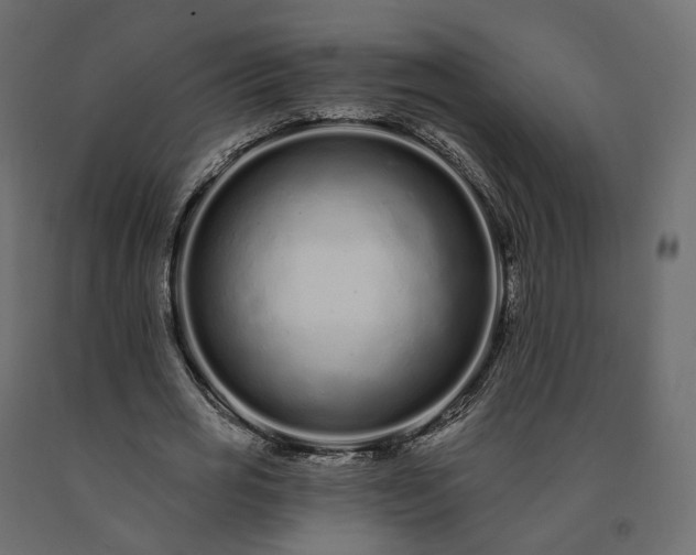 X0000091560725200708241815