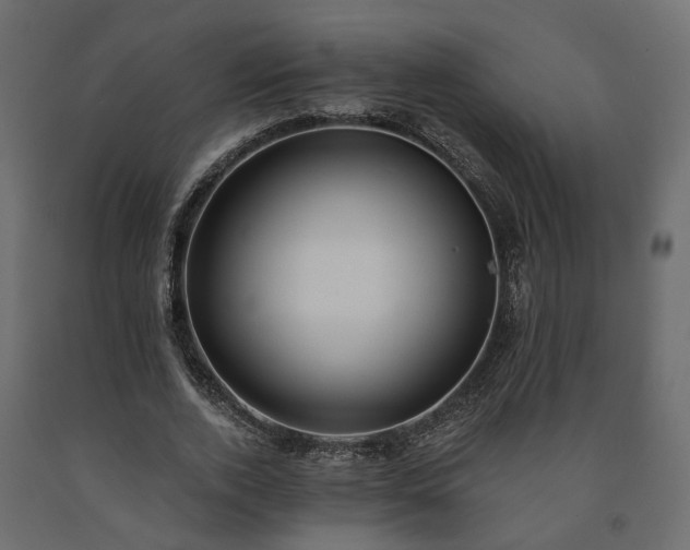 X0000091560728200708241815