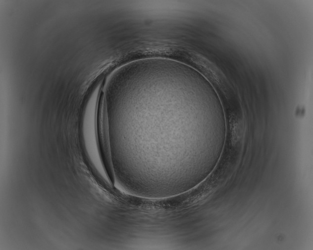 X0000091560729200708241815