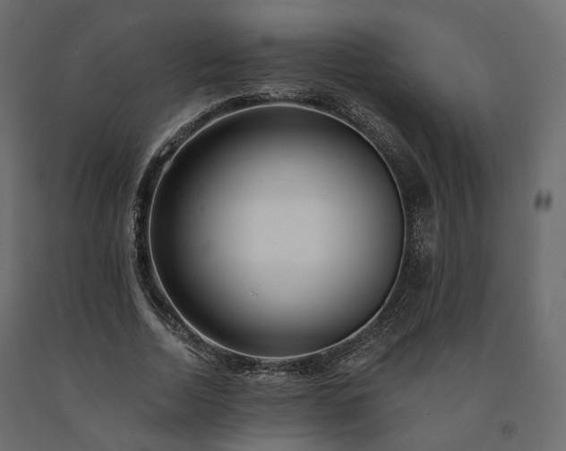 X0000091560730200708241815