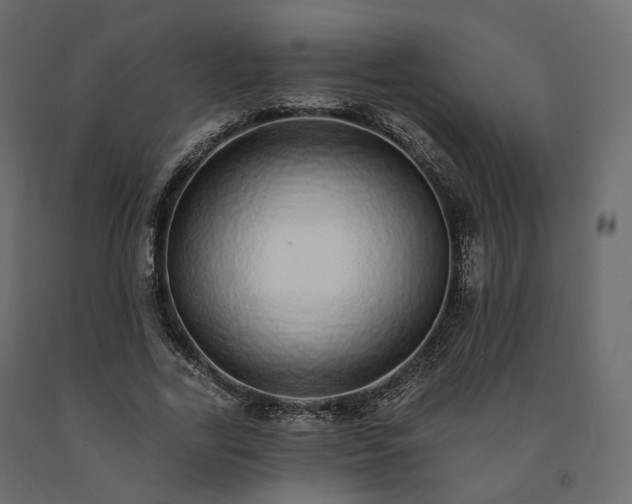 X0000091560731200708241815