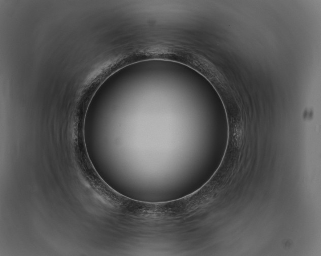 X0000091560732200708241815