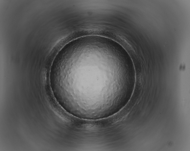 X0000091560733200708241815