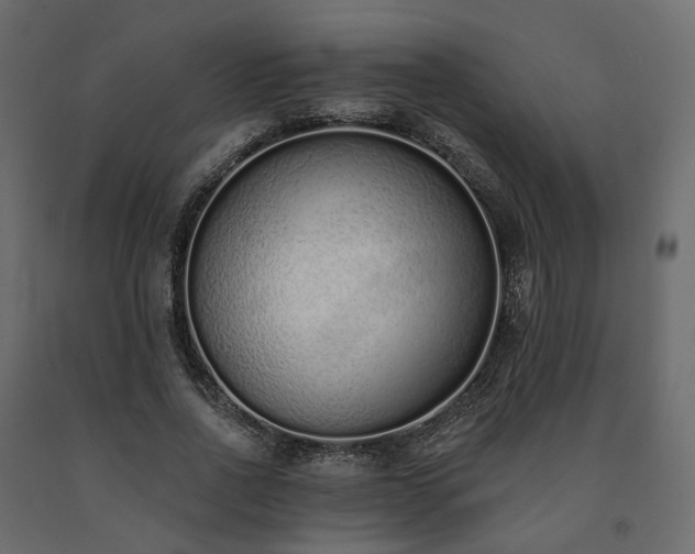 X0000091560734200708241815