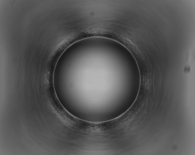 X0000091560735200708241815