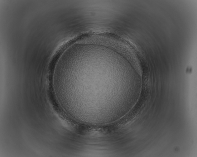 X0000091560736200708241815