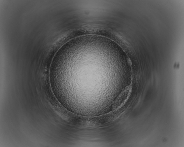 X0000091560737200708241815