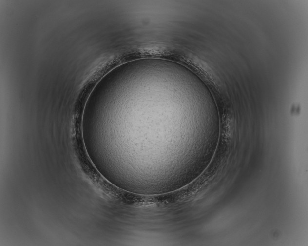 X0000091560738200708241815